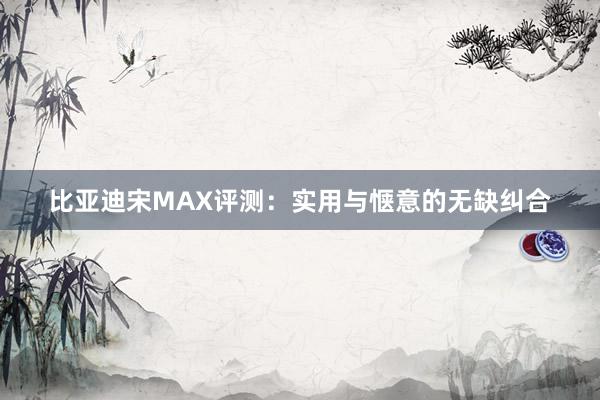 比亚迪宋MAX评测：实用与惬意的无缺纠合